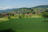 Blick auf Unterharmersbach